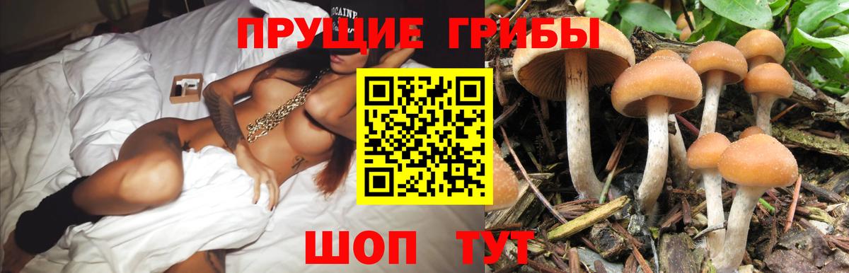 что такое наркотик  Галлюциногенные грибы Psilocybe  Конаково  Вход с VPN  Галлюциногенные грибы MAGIC MUSHROOMS 